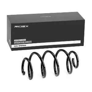 188C0173 RIDEX