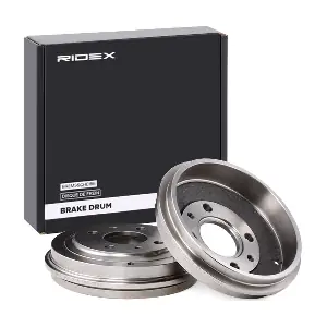 RIDEX 123B0043