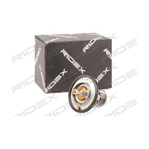 316T0211 RIDEX