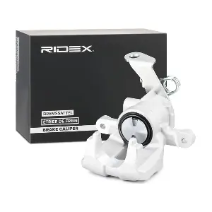 RIDEX 78B0754