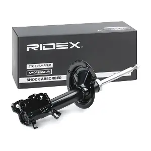 854S0818 RIDEX