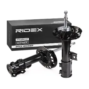 854S2309 RIDEX