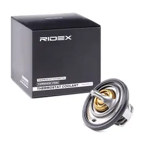 316T0051 RIDEX