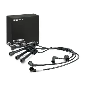 685I0061 RIDEX