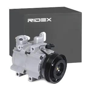 447K0051 RIDEX