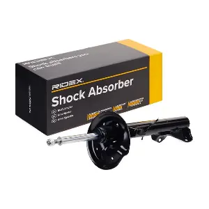 854S1600 RIDEX