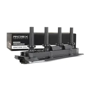 689C0156 RIDEX