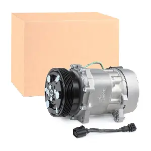 RIDEX 447K0060