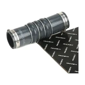 RIDEX 3314C0310