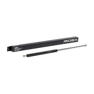 219G0792 RIDEX