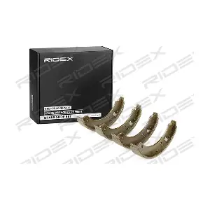 RIDEX 70B0302