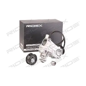 3096W0313 RIDEX