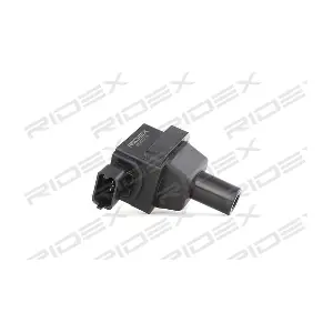 689C0278 RIDEX