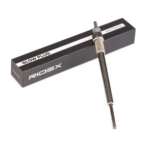 RIDEX 243G0019