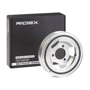 3213B0089 RIDEX