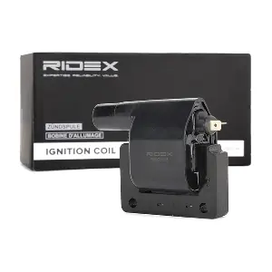 RIDEX 689C0108