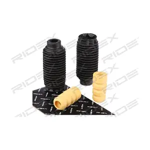 919D0036 RIDEX