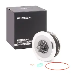 4973C0041 RIDEX