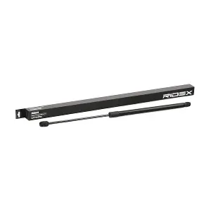 RIDEX 219G0316