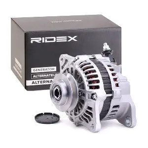 4G0502 RIDEX