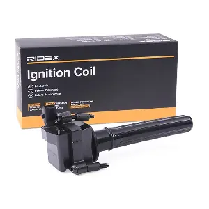RIDEX 689C0422