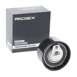 RIDEX 308T0113