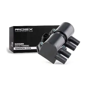 689C0066 RIDEX