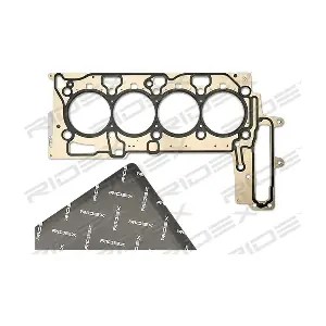 318G0264 RIDEX
