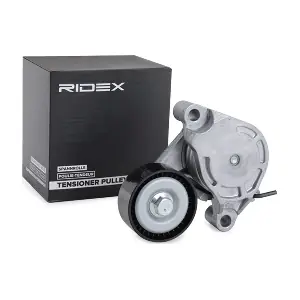310T0403 RIDEX