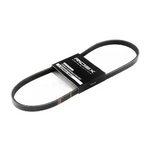 RIDEX 305P0199