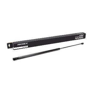 RIDEX 514G0005