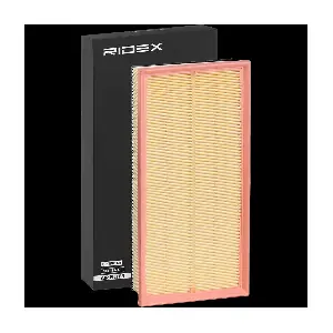 RIDEX 8A1613
