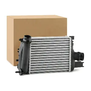 468I0117 RIDEX