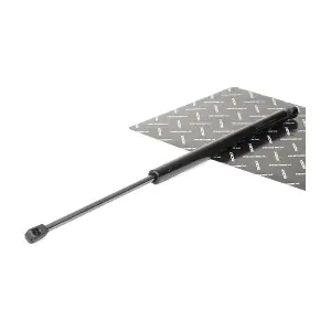 219G0164 RIDEX