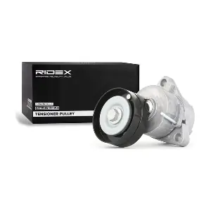 RIDEX 540T0016