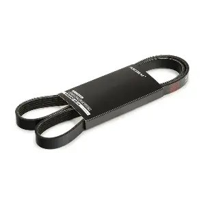 RIDEX 305P0227