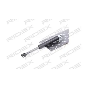 219G0561 RIDEX