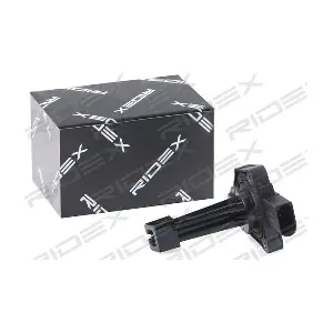 1289S0011 RIDEX