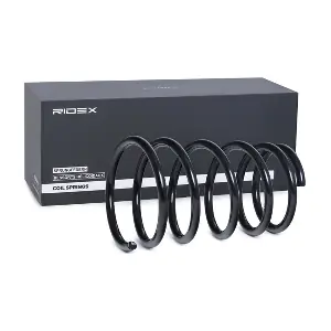 RIDEX 188C0579