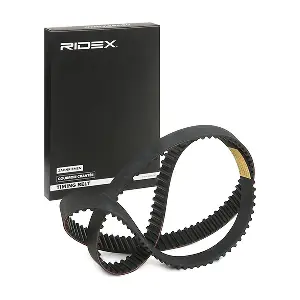306T0250 RIDEX