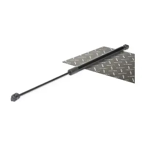219G0025 RIDEX