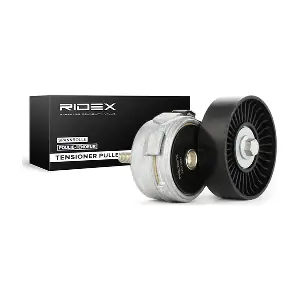 310T0021 RIDEX