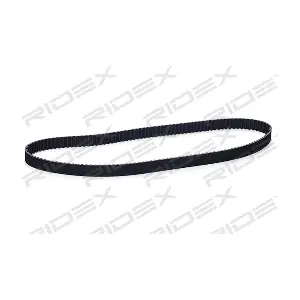 306T0307 RIDEX