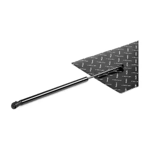 219G0478 RIDEX
