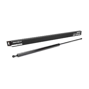 219G0047 RIDEX