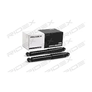 854S1739 RIDEX