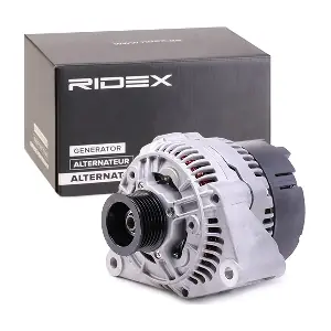 4G0960 RIDEX