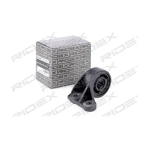 251T0132 RIDEX