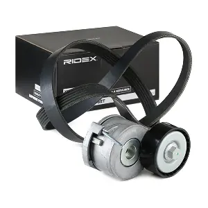 542R0125 RIDEX