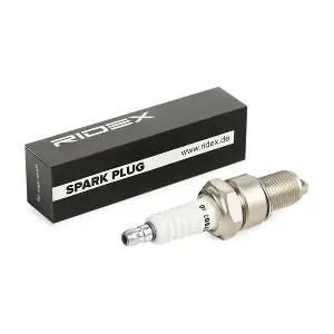 RIDEX 686S0194